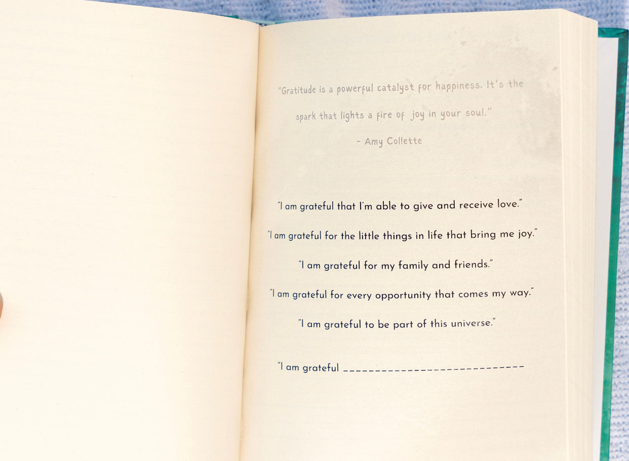 Manifestation Journal